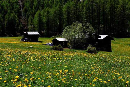 高含量文憑,優(yōu)秀教育體制,德國留學為您帶來不一樣的體驗! 高含量文憑,優(yōu)秀教育體制,德國留學為您帶來不一樣的體驗!