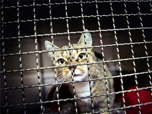 <a style='color:#268bd1;cursor:pointer;' href='/munihei.html'>德國(guó)慕尼黑</a>城市生活兩三事(三) 德國(guó)慕尼黑城市生活兩三事(三)