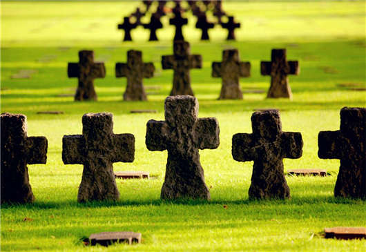 如何退還您的德國國家退休保險金？