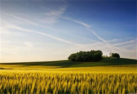 德國的個(gè)人醫(yī)療保險(xiǎn)制度有必要訂購嗎? 德國的個(gè)人醫(yī)療保險(xiǎn)制度有必要訂購嗎?