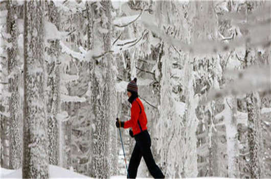 留學(xué)德國(guó)畢業(yè)難，解決這些您就可以成功！