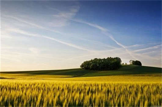 1574215498136557.jpg 53.jpg