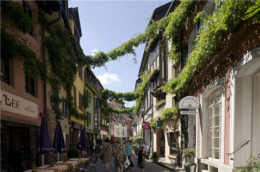 申請德國技術移民簽證，高調定居德國生活