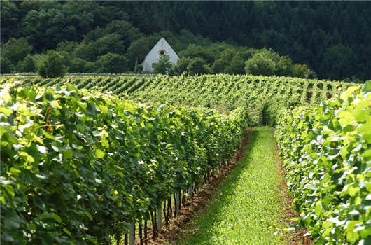 德國企業稅收您有必要了解一下！