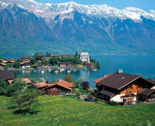 1631435819126100.jpg 1.jpg